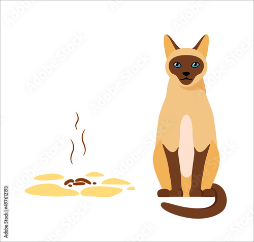 Siamese cat sitting near its poop. Badly behaved pet going to toilet on floor. Pet toilet hygiene concept. Bad smell. Flat style vector 