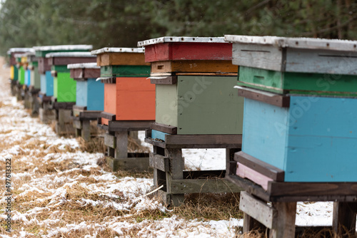 Apiary in winter. Colorful hives of bees in the meadow near the forest. Frost and a thin layer of snow. © PhotoRK