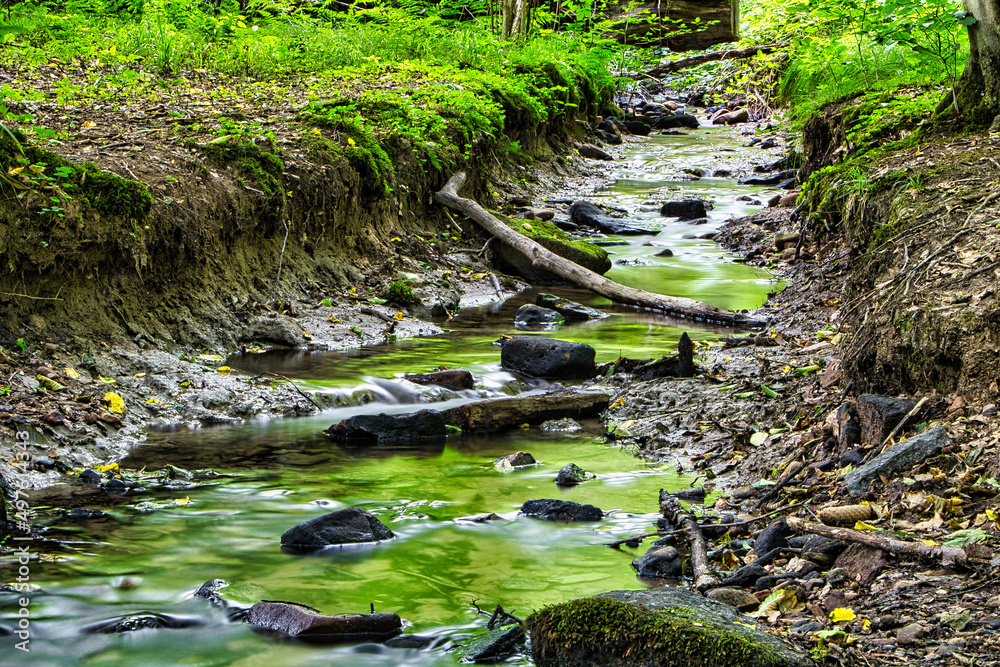 Kleiner Bach im Wald im Sommer Kleiner Bach im Wald im Sommer
