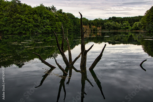 Holz im See mit bew  lktem Himmel 