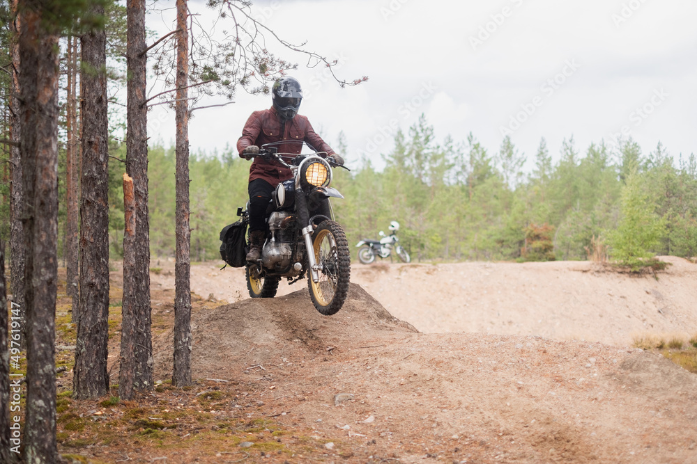 Rider rides fast through the woods Rider rides fast through the woods