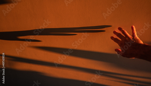 Touch the Shadow in the Morning