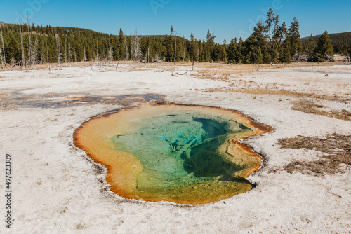 Hot springs in West Thumb Yellowstone National Park. photo