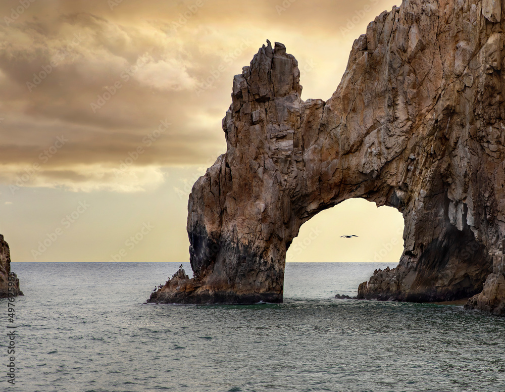 Bird flying through arch in ocean