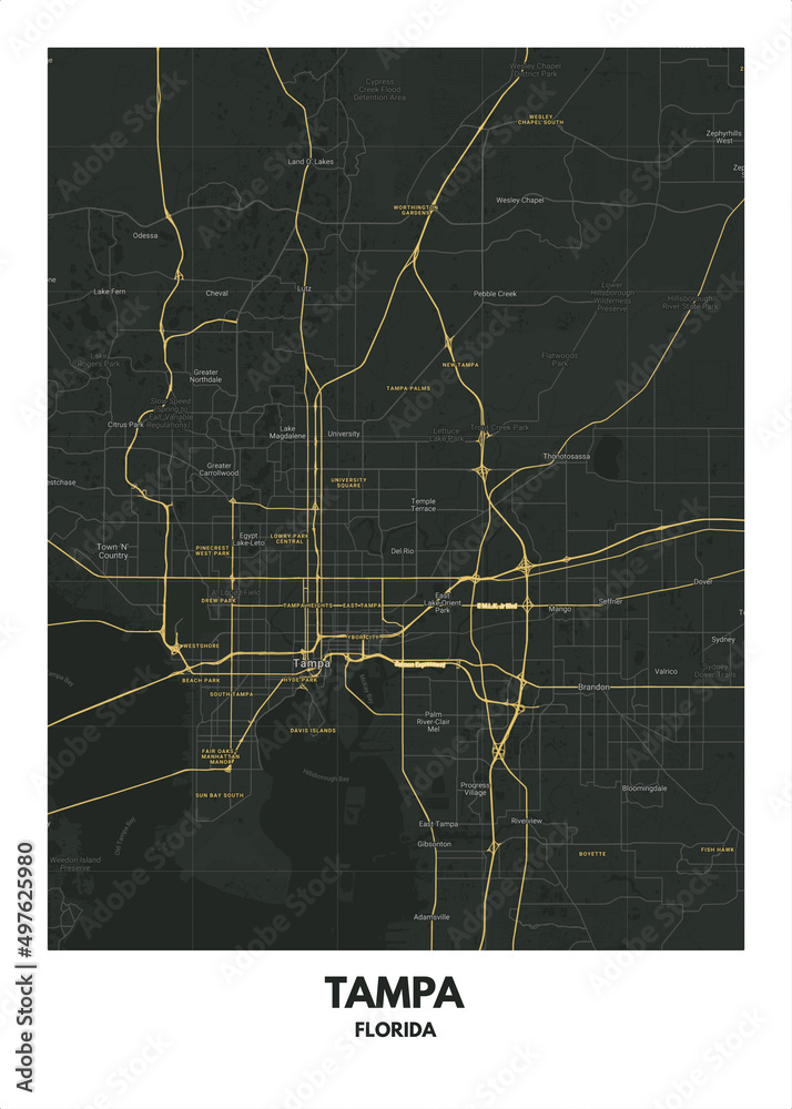 Poster Tampa - Florida map. Road map. Illustration of Tampa - Florida streets. Transportation ...