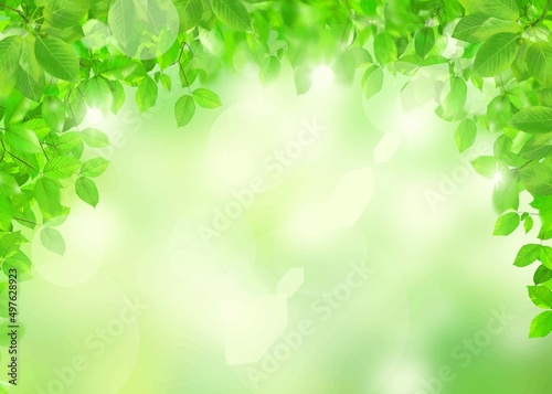 初夏の美しい木漏れ日の差し込む新緑とボケの緑のきらめく光るバックグラウンドのイラスト素材