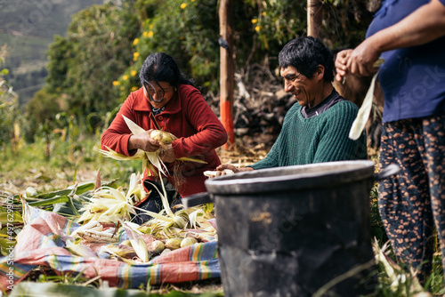Latin farmers working the corn photo