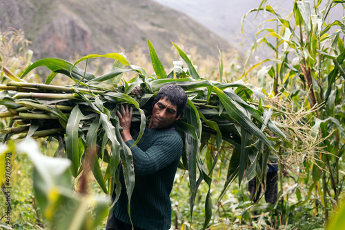 Hispanic man working on a farm photo