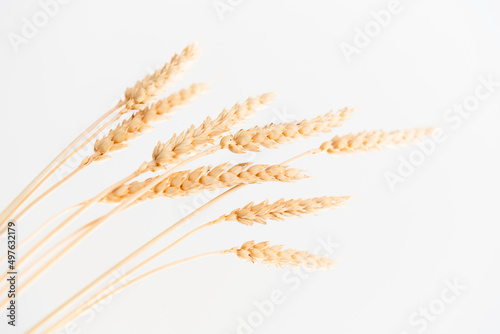 Dry ears of wheat with grains.