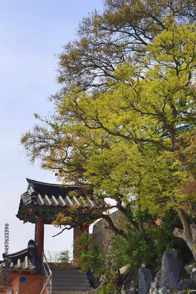 Fototapeta premium The door to heaven