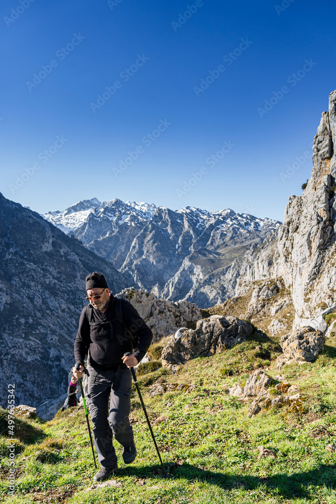 Man with trekking poles walking in mountainous area Man with trekking poles walking in mountainous area