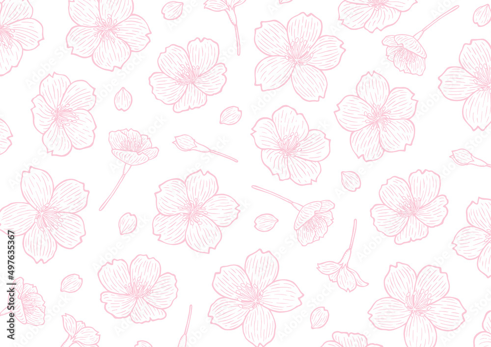 オシャレで優しい手描き桜の線画背景