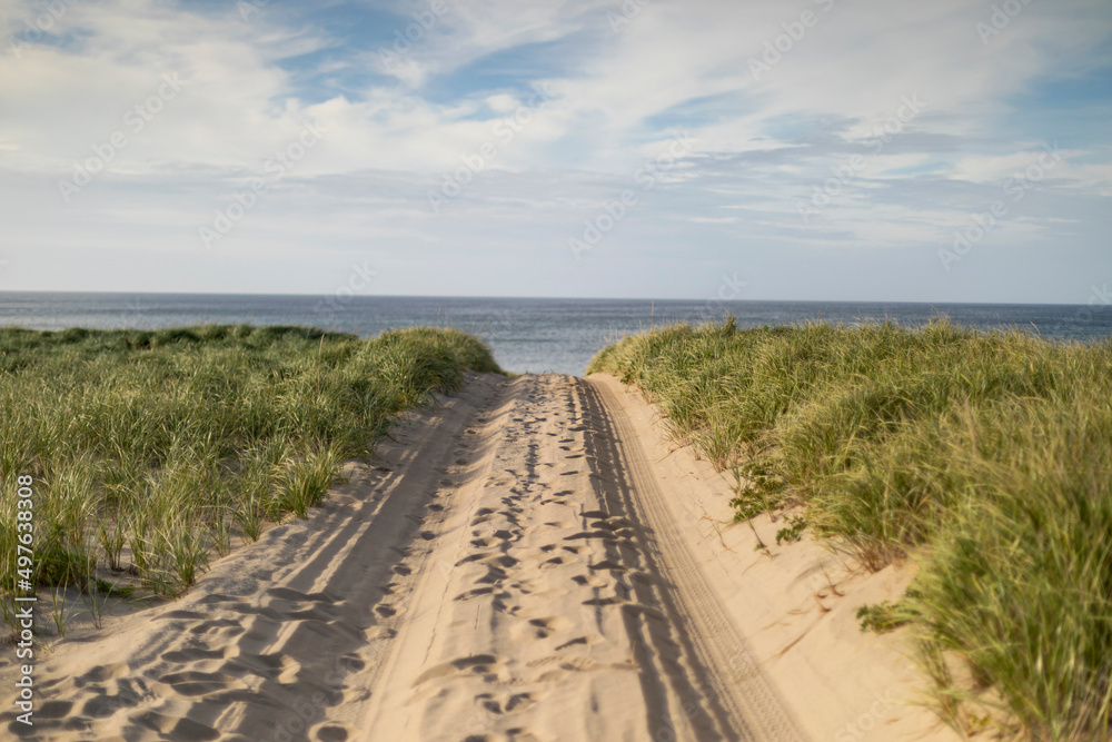 Race Point Provincetown beach dune landscape Race Point Provincetown beach dune landscape