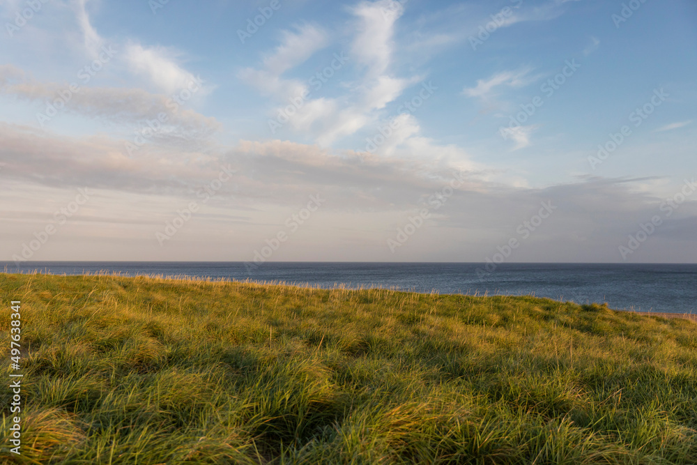 Cape Cod Beach Dune Afternoon Landscape Cape Cod Beach Dune Afternoon Landscape