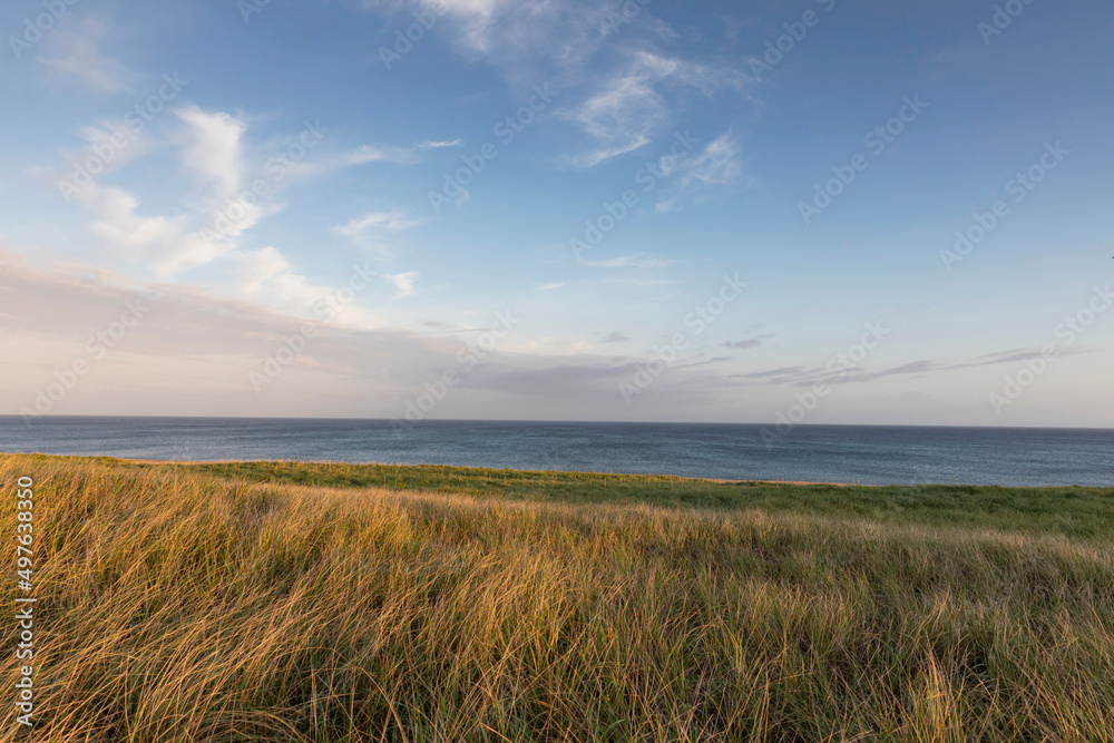 Cape Cod Beach Dune Landscape with calm ocean Cape Cod Beach Dune Landscape with calm ocean