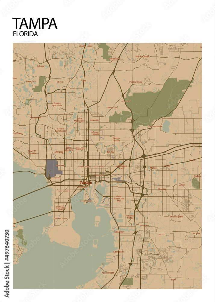 Poster Tampa - Florida map. Road map. Illustration of Tampa - Florida ...