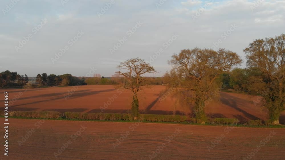 Flying around trees at low level with freshly planted fields. Low evening sun Flying around trees at low level with freshly planted fields. Low evening sun