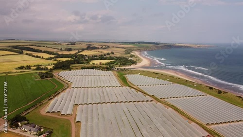 Drone view. Farm on the coast of the northern sea. Greenhouses in the background photo