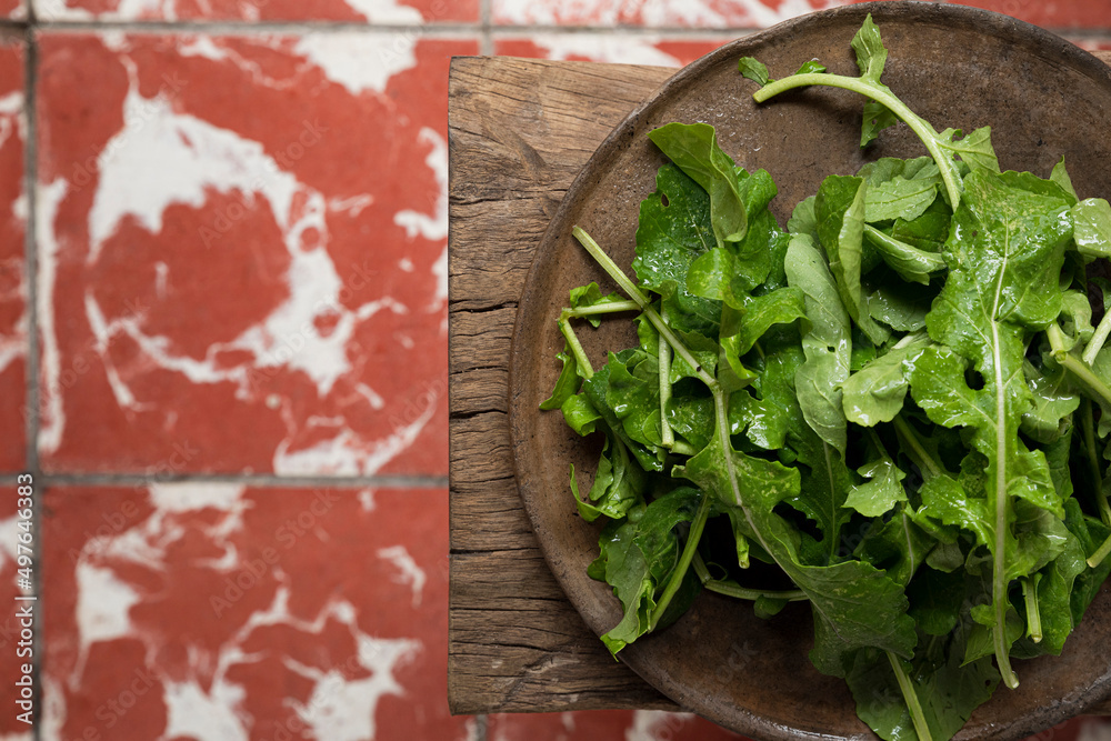 clay plate with arugula on a wooden base clay plate with arugula on a wooden base