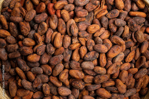 red cocoa beans stacked in a basket