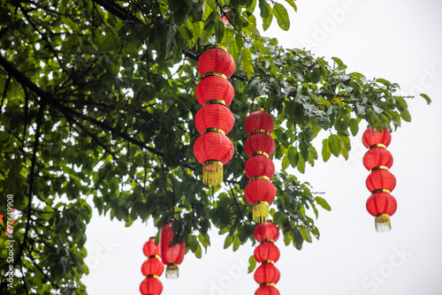 Festival lantern at Chinese traditional holiday season