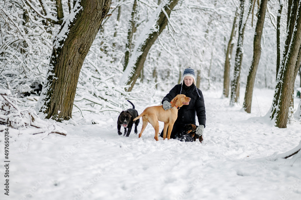 Woman with dogs in winter forest Woman with dogs in winter forest