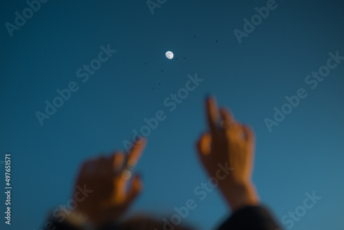 Hands reach for the moon