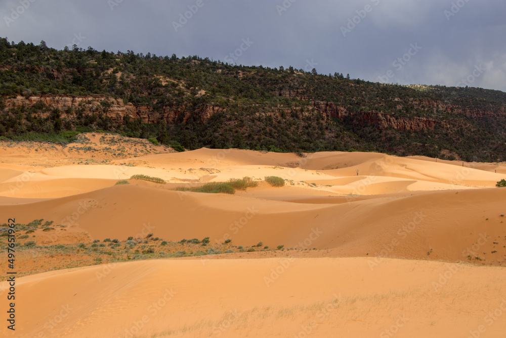 Coral Pink Sand Dunes, Utah