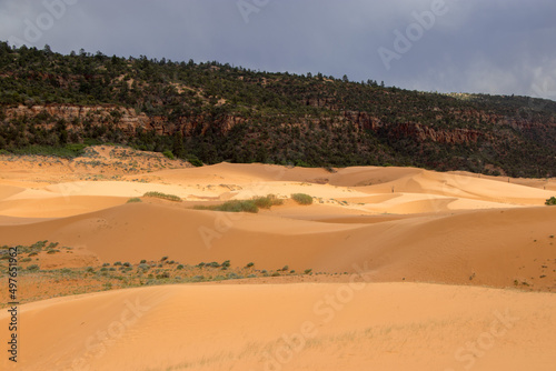 Coral Pink Sand Dunes  Utah