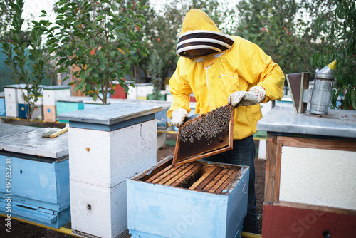 Professional beekeeper working outdoors and wearing the protective suits used for beekeeping. Beekeeper harvesting honey from a bee hive.