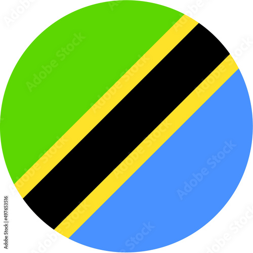 tanzania flag vector