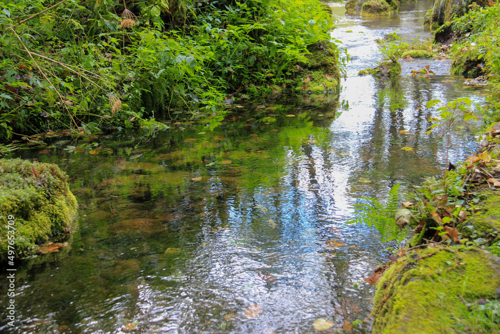 山奥の清流
山奥の清流