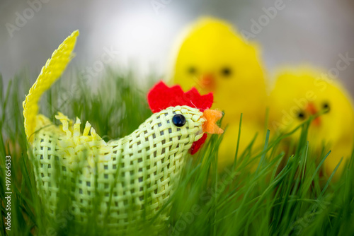 Traditional Easter decorations, ryegrass and chicks photo
