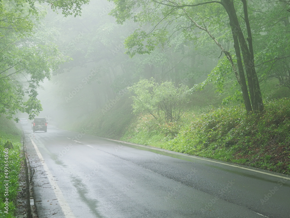 霧のかかる道を走る車のテールランプ（横）
