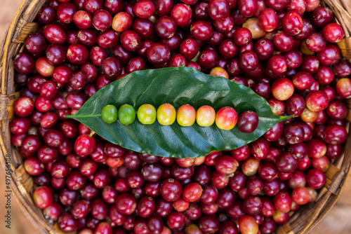 closeup of a basket full of coffee beans with coffee beans on a leaf