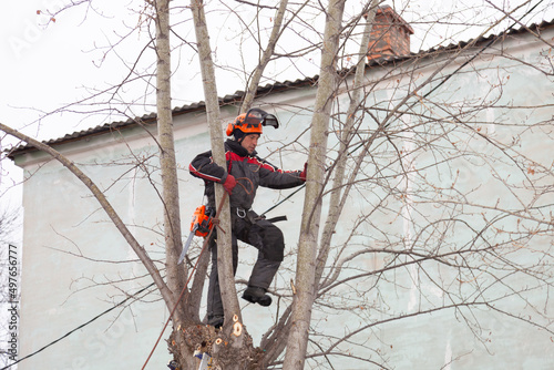 Tree surgeon. Working with a chainsaw. Sawing wood with a chainsaw.