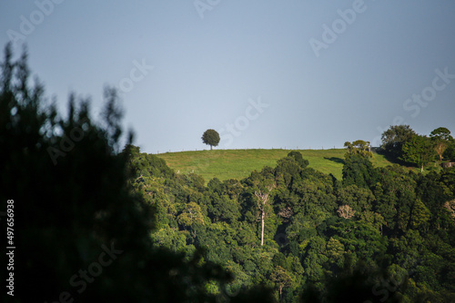 One Tree at Maleny Sunshine Coast With Valley Views photo