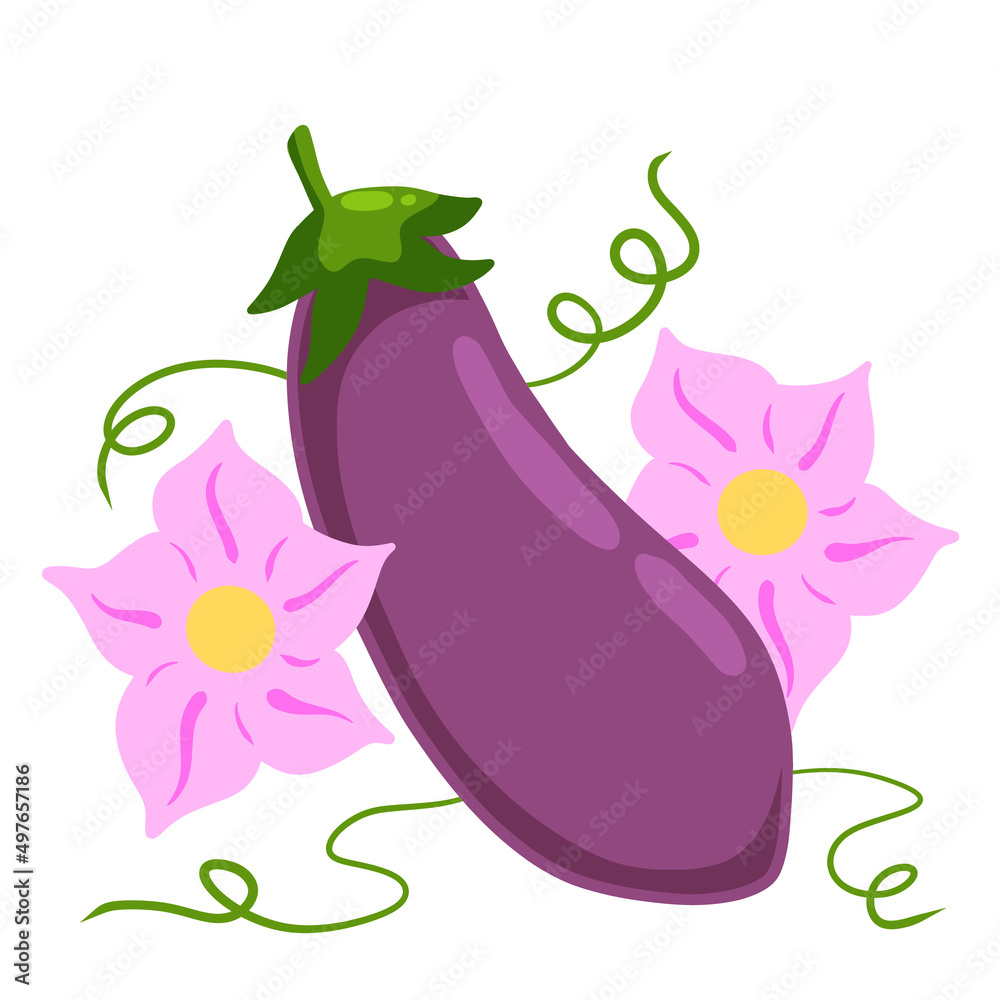 Eggplant. Pink flowers and stem with green tendrils. Flowering of vegetable. Eggplant. Pink flowers and stem with green tendrils. Flowering of vegetable.