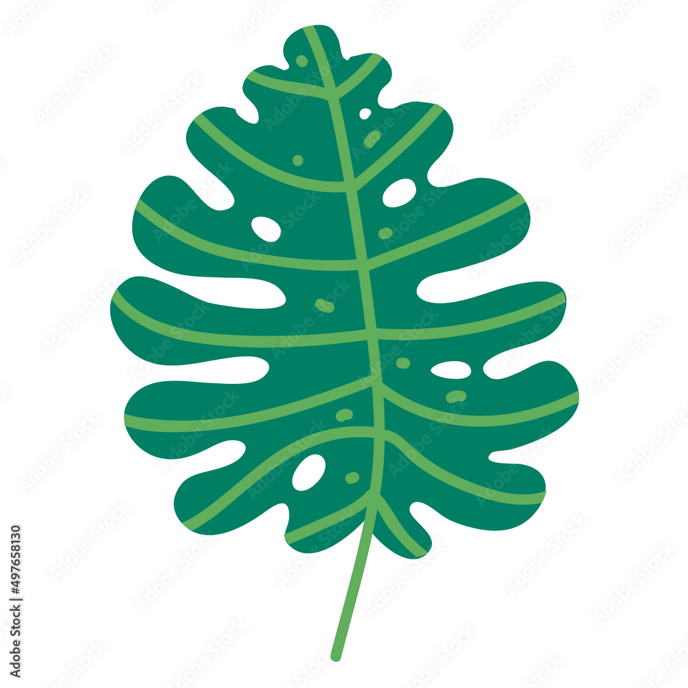 tropical palm leaf cartoon. Monstera and palm flat leaves. tropical palm leaf cartoon. Monstera and palm flat leaves.