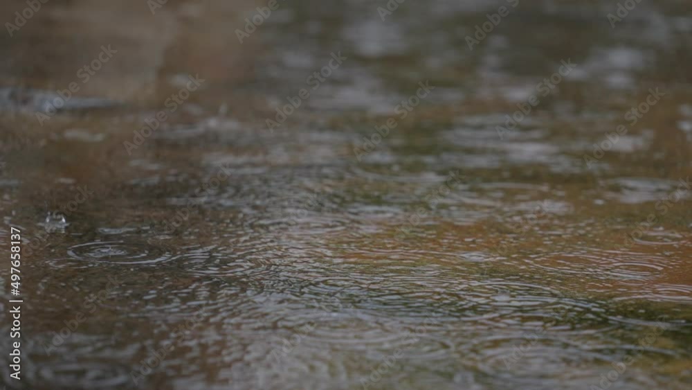 Rainy Drops. Raindrops falling down onto ground. Rain water drops falling into grounds. Rain in wet season. Footage B roll slow motion 4k. Rainy Drops. Raindrops falling down onto ground. Rain water drops falling into grounds. Rain in wet season. Footage B roll slow motion 4k.