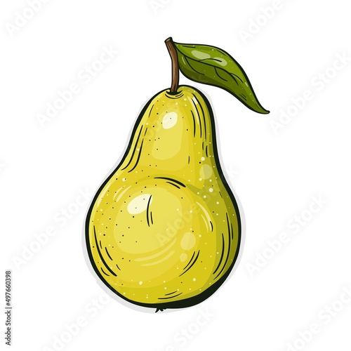 Pear hand drawn, green color, hatched pear, vector illustration isolated on white background.