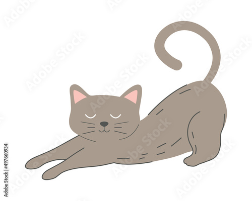 cat flat icon