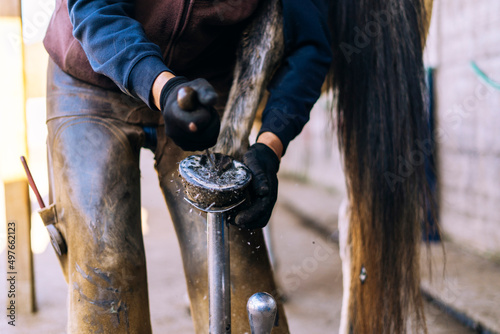 Farrier with instrument removing mud from horseshoe photo