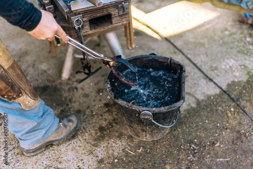Farrier tempering metal horseshoe in water in stable