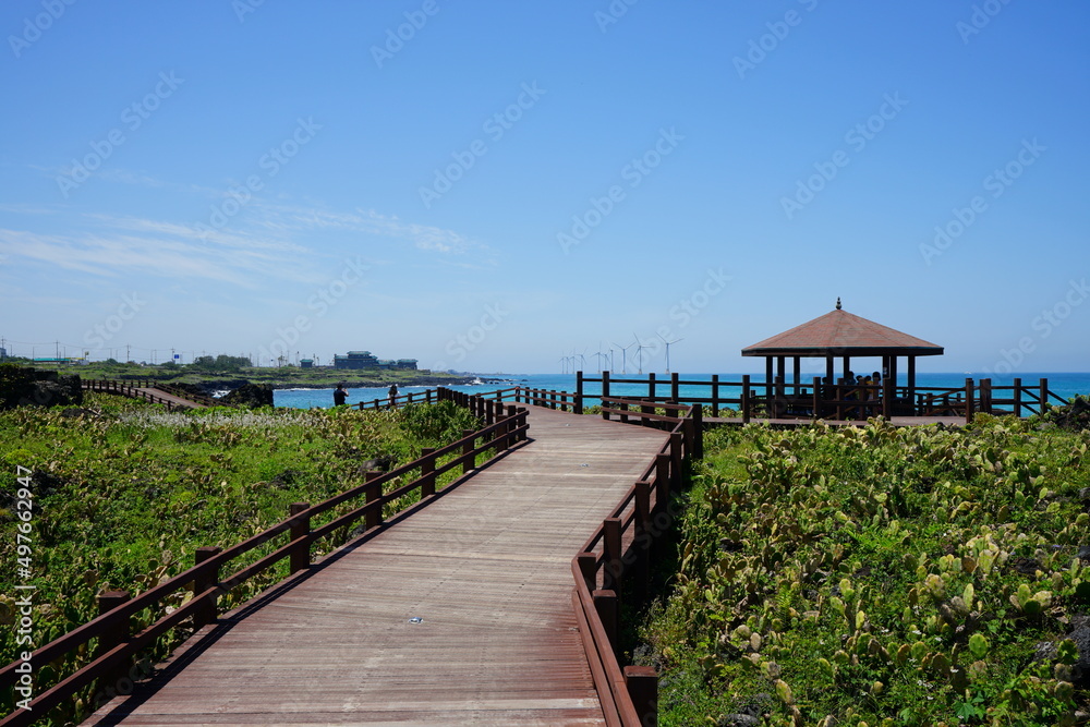 Fototapeta premium fascinating seaside walkway and blue sea 