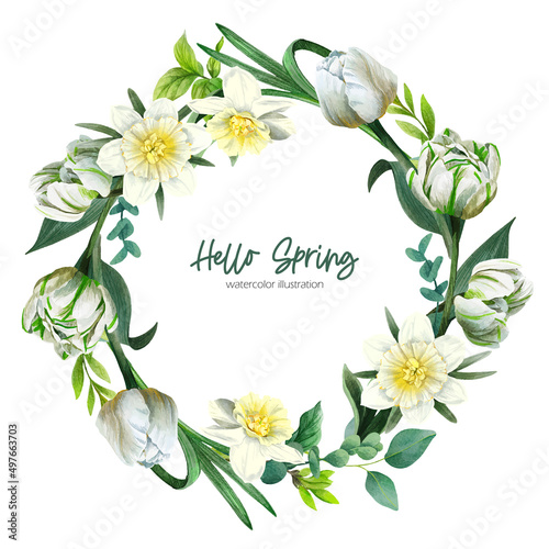 White tulips and daffodils wreath. Hand drawn