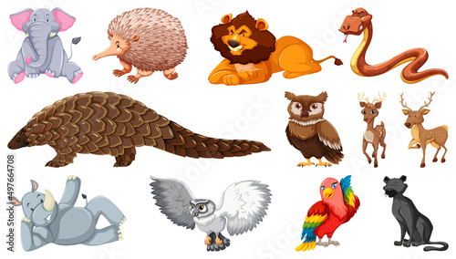 Set of different wild animals cartoon characters