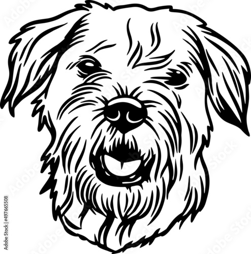 Canvas Print Border Terrier - Funny Dog, Vector File, Cut Stencil for Tshirt