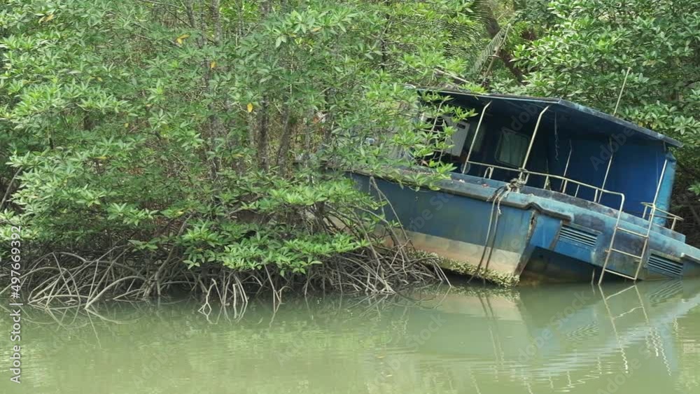 pan shot of sunken small boat in Mangrove forest pan shot of sunken small boat in Mangrove forest