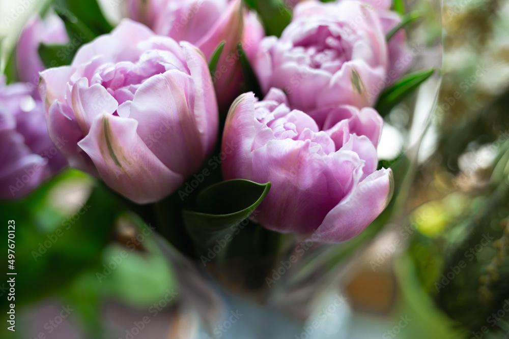 Obraz premium bouquet of beautiful fresh lilac tulips, top view